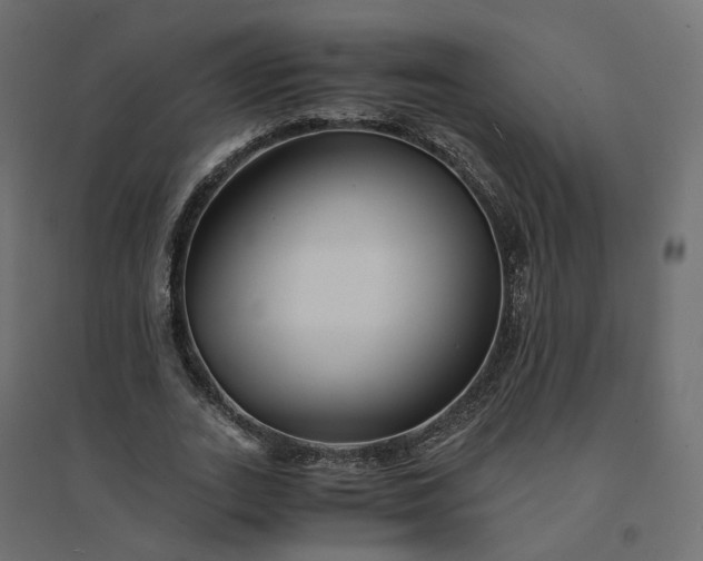 X0000094430727200711211432