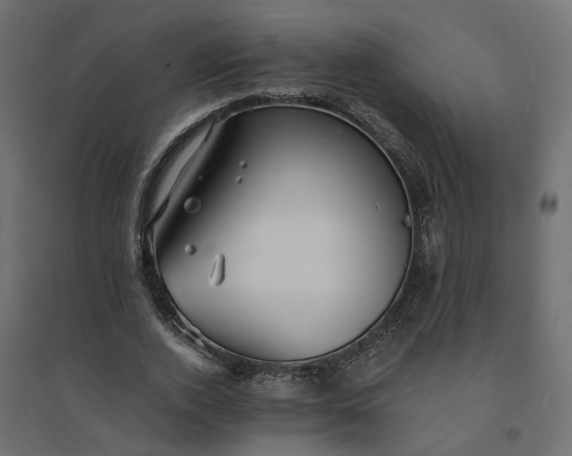 X0000094430728200711211432