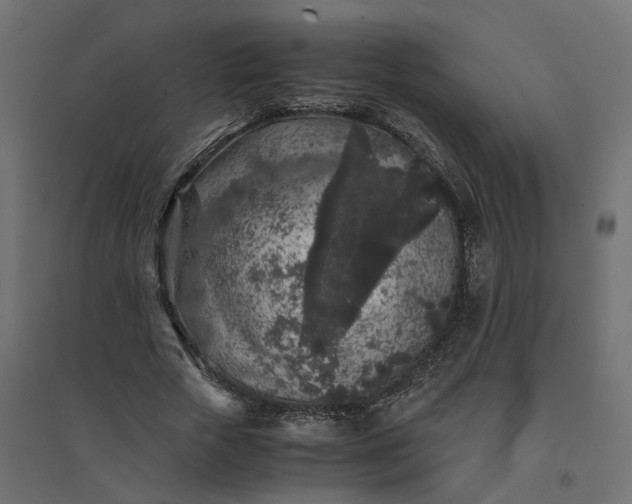 X0000094430729200711211432