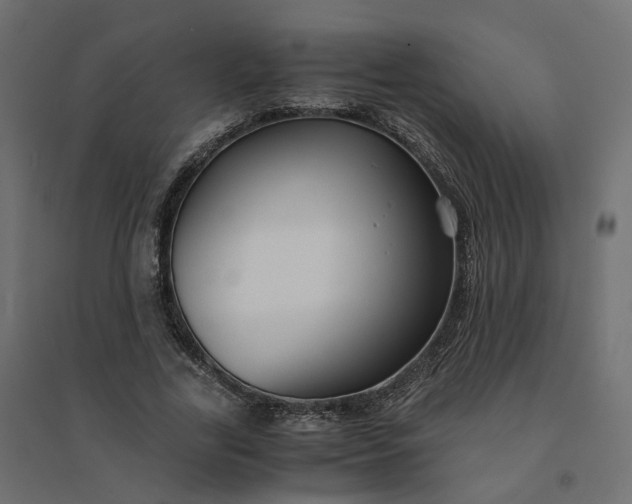 X0000094430731200711211432