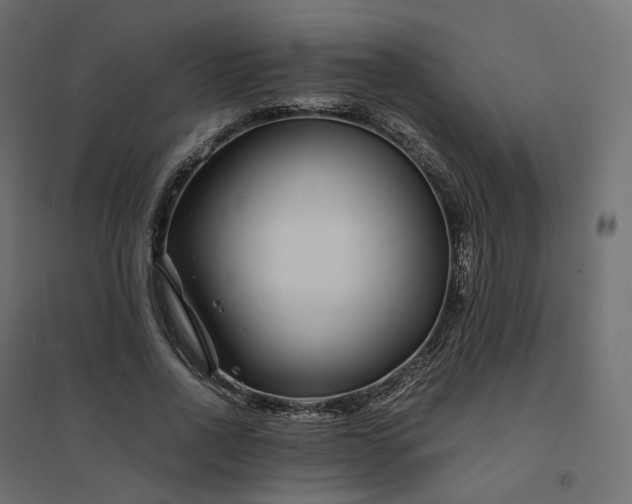 X0000094430734200711211432