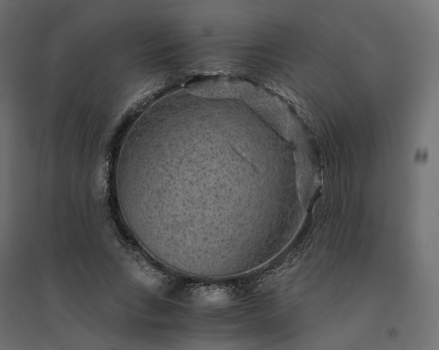 X0000094430735200711211432