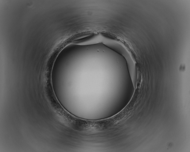 X0000094430736200711211432
