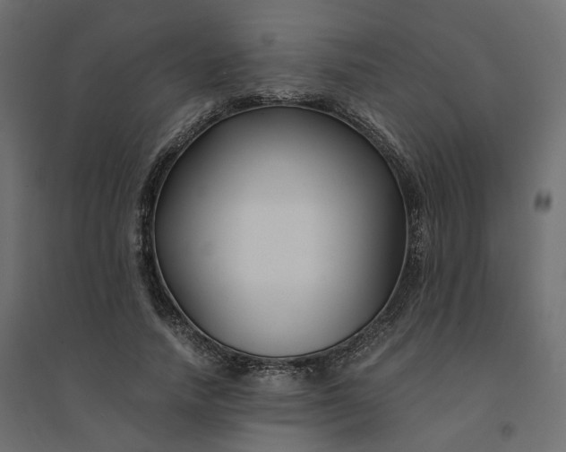 X0000094430738200711211432