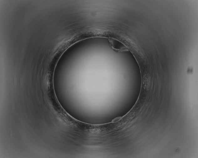 X0000094430740200711211432