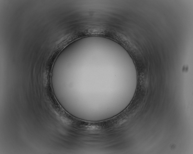 X0000094430741200711211432