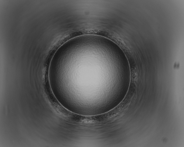 X0000094430742200711211432