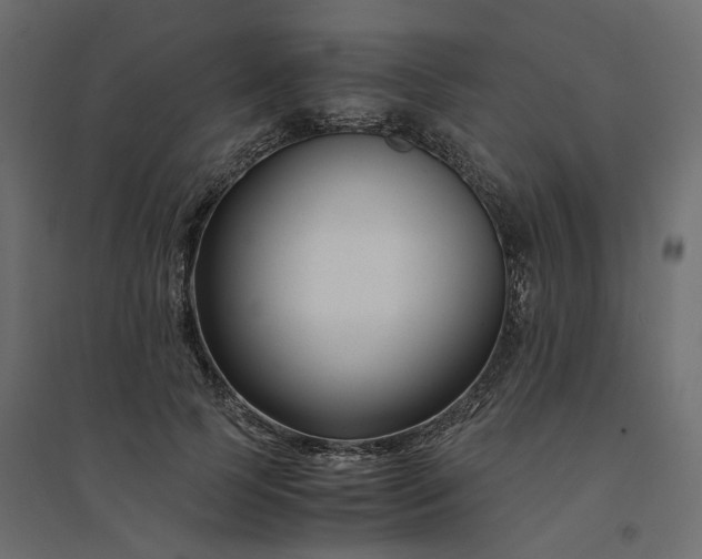X0000094430745200711211432