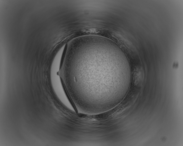 X0000094430747200711211432