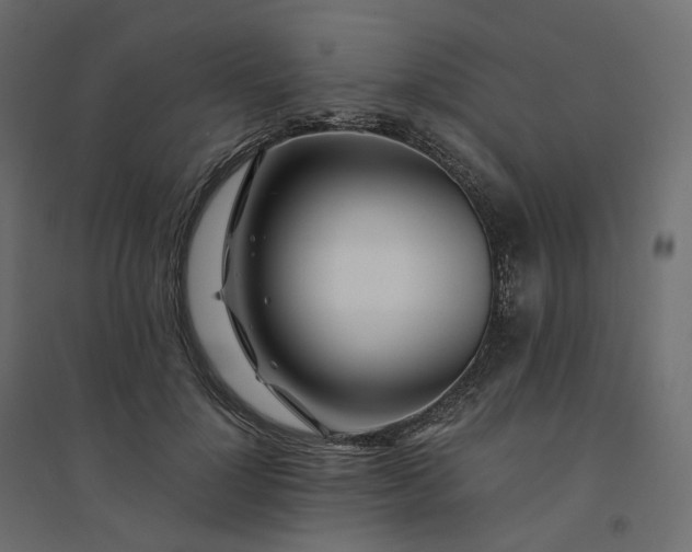X0000094430748200711211432