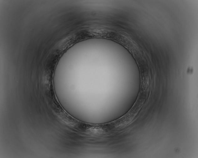 X0000094430749200711211432