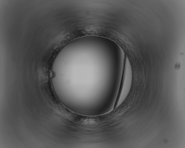 X0000094430751200711211432