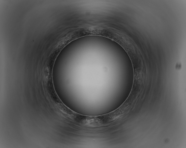 X0000094430752200711211432