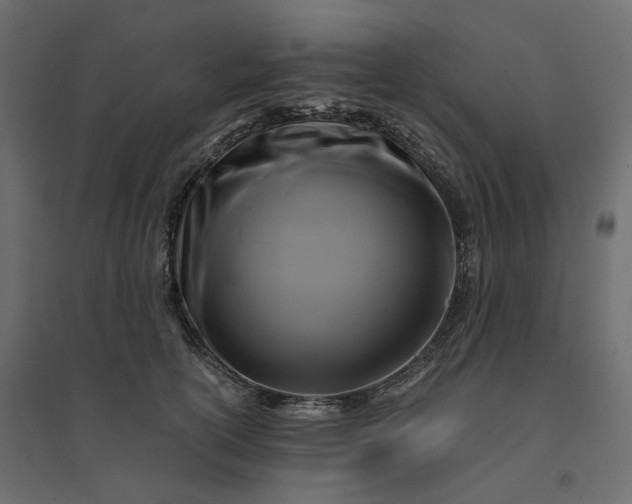 X0000094430754200711211432