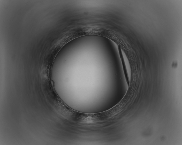 X0000094430755200711211432