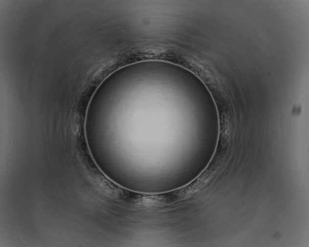 X0000094430758200711211432