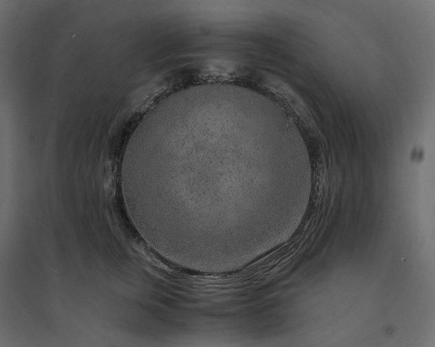 X0000094430759200711211432