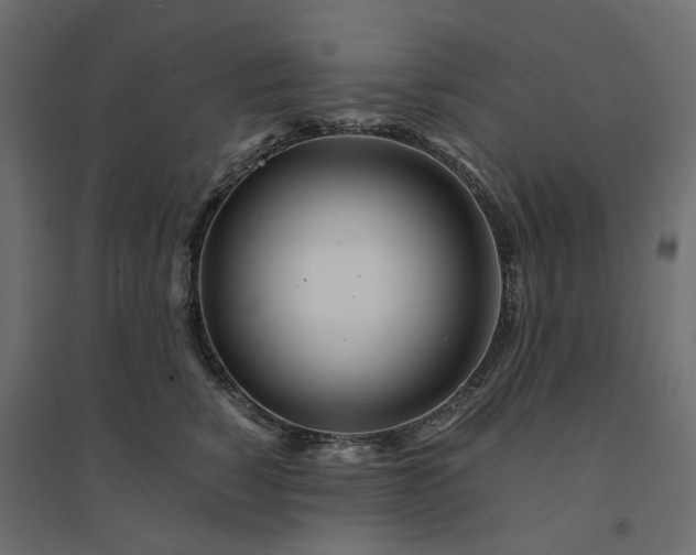 X0000094430760200711211432