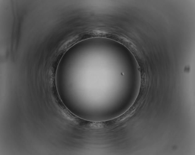 X0000094430762200711211433