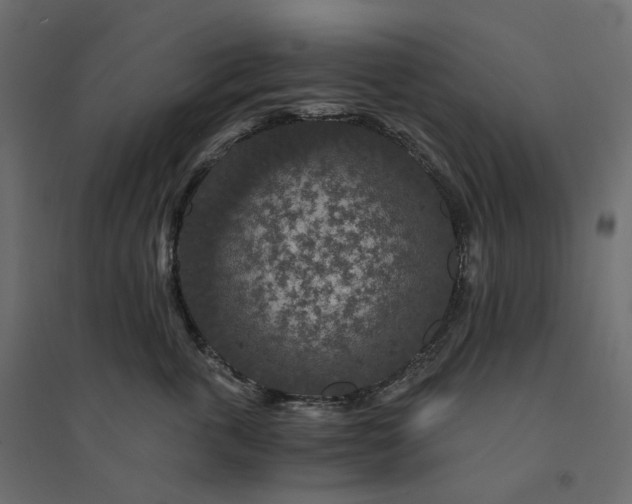 X0000094430763200711211433