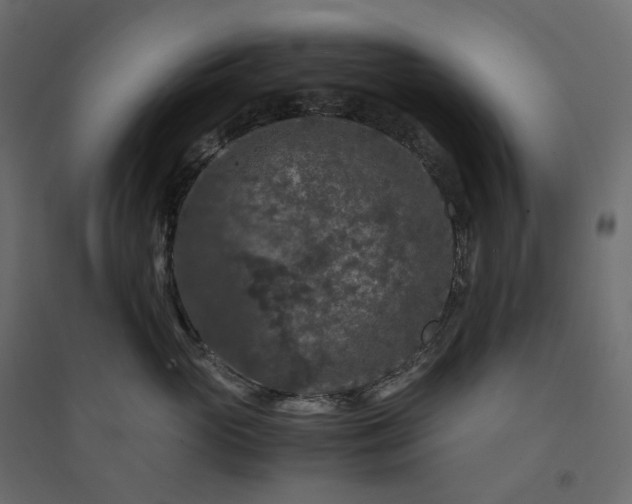 X0000094430765200711211433