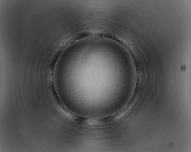 X0000094430766200711211433