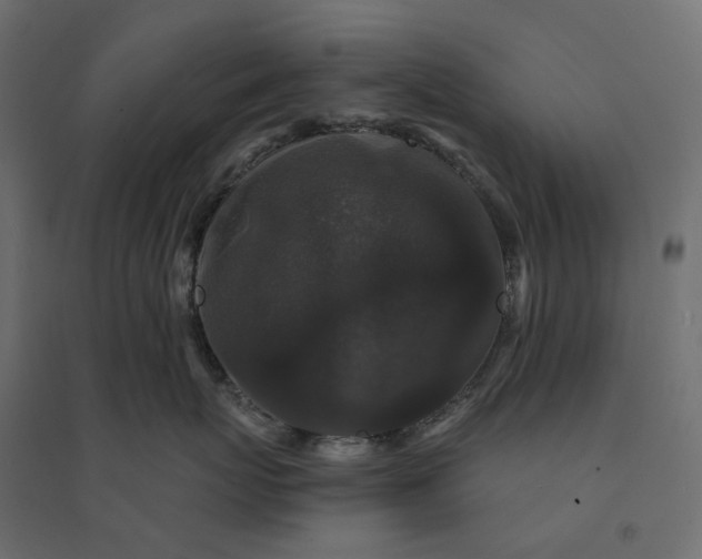 X0000094430767200711211433