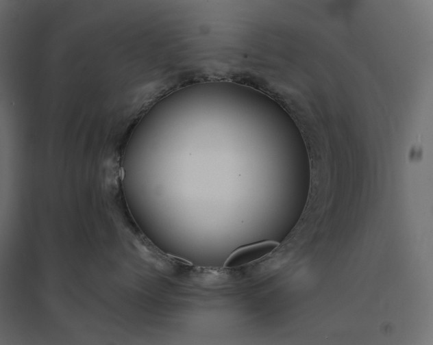 X0000094430768200711211433
