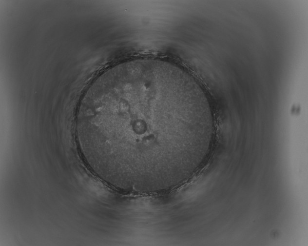 X0000094430769200711211432