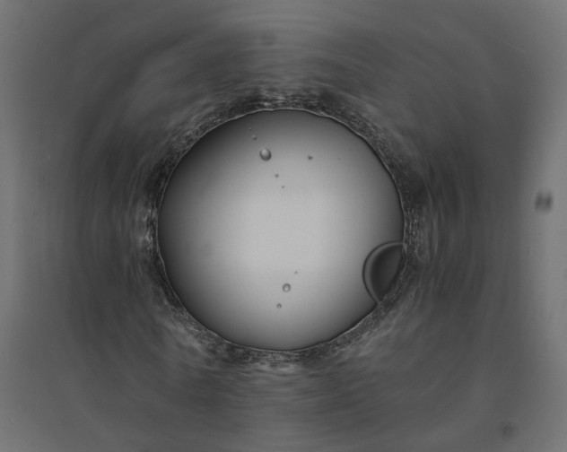 X0000094430770200711211432