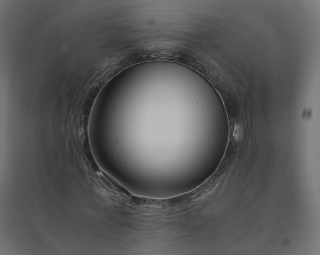 X0000094430771200711211432