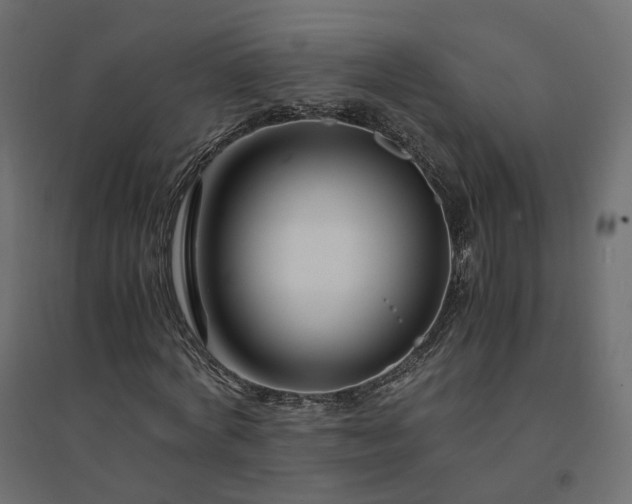 X0000094430772200711211432