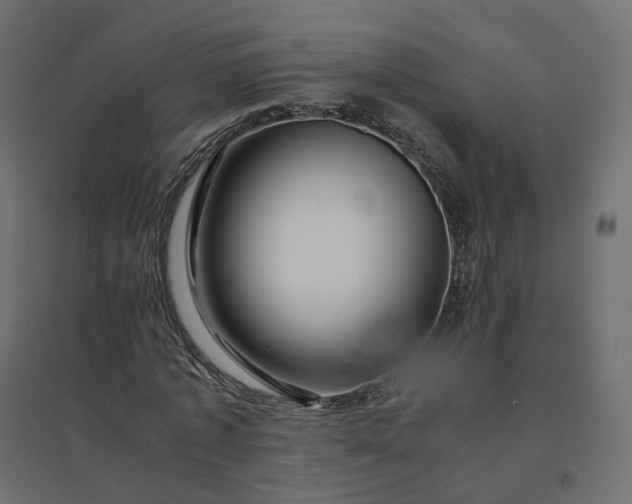X0000094430773200711211432