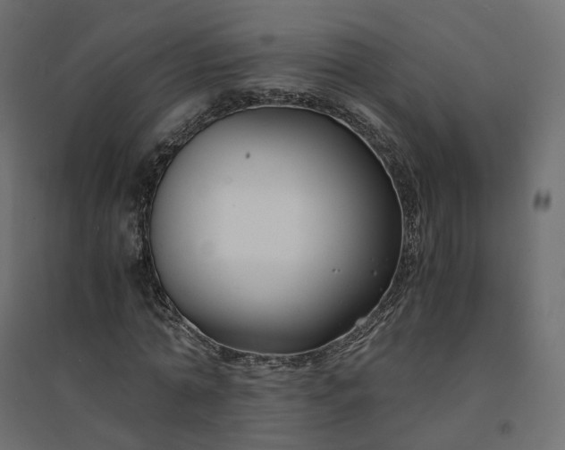 X0000094430774200711211432
