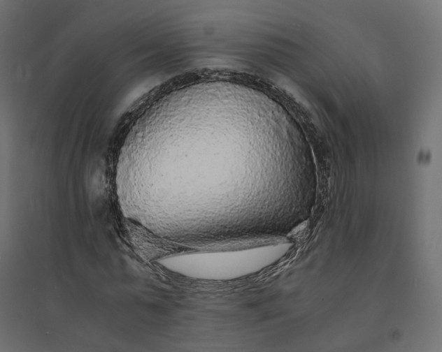 X0000094430775200711211432
