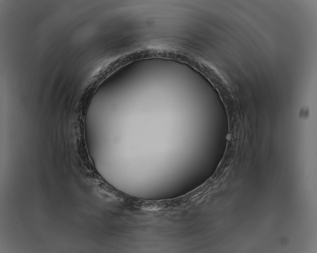 X0000094430776200711211432