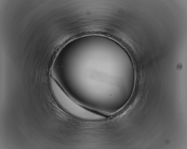 X0000094430777200711211432