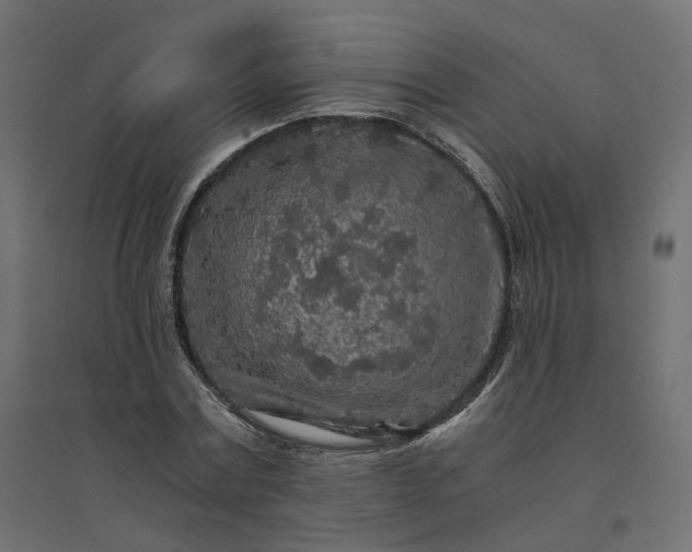 X0000094430779200711211432