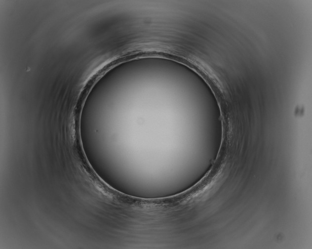 X0000094430782200711211432
