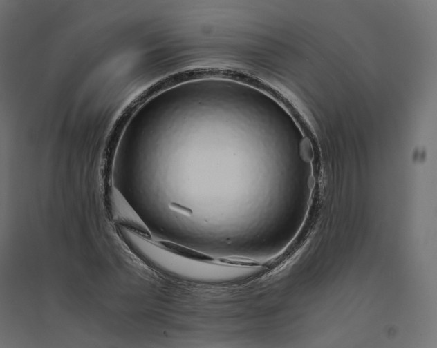 X0000094430783200711211432