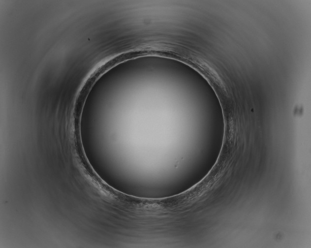 X0000094430784200711211432