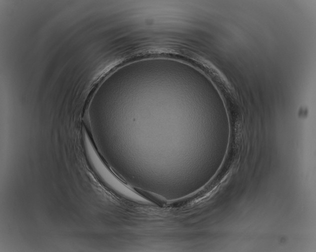 X0000094430785200711211432
