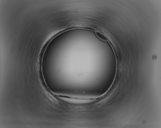 X0000094430787200711211432