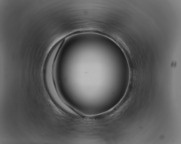 X0000094430789200711211431