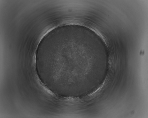 X0000094430790200711211431