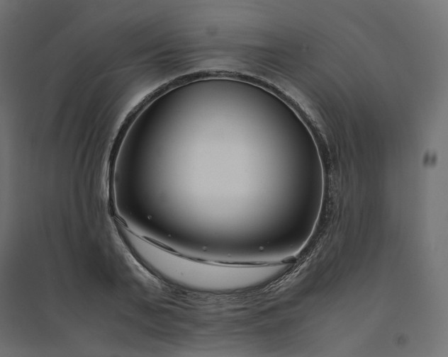 X0000094430791200711211431