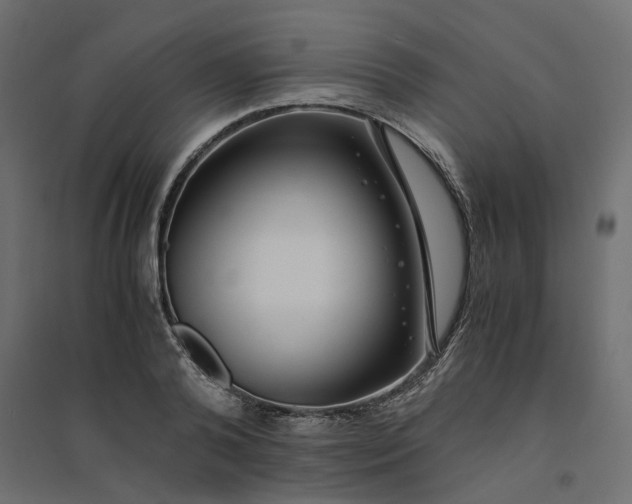 X0000094430792200711211431