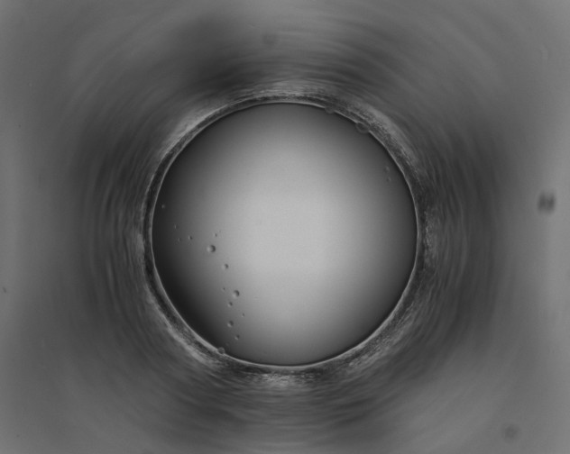 X0000094430794200711211431
