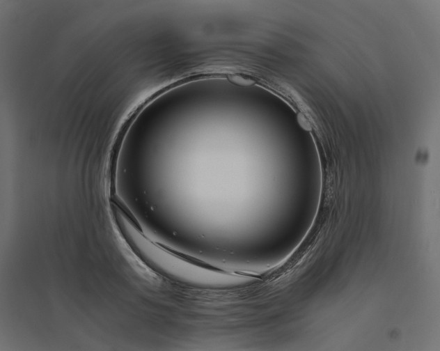 X0000094430795200711211431