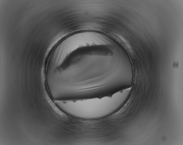 X0000094430796200711211431